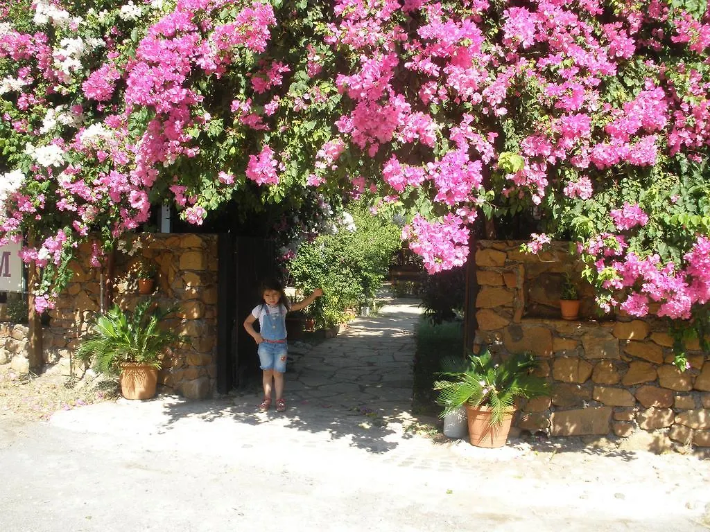 Ekincik Villa Salkim Bed & Breakfast