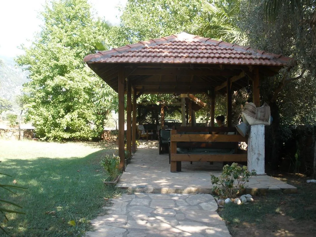 Oda ve Kahvaltı Ekincik Villa Salkim