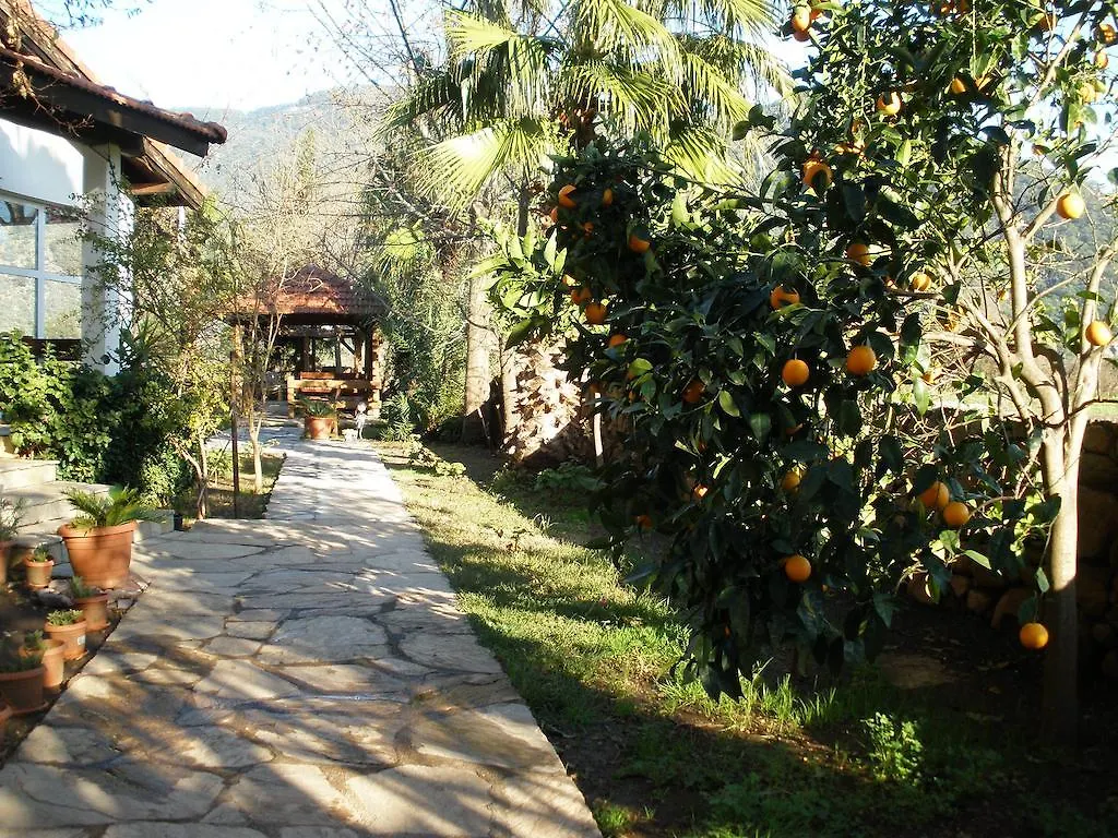 Ekincik Villa Salkim Oda ve Kahvaltı